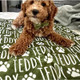 Custom Dog or Cat Name Blanket