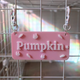 Custom Small Pet Cage Name Tag For Guinea Pigs, Rabbits, Hamsters