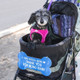 Sign for Special Needs Dogs Pet