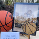 Custom Softball  Baseball  Volleyball Basketball  Soccer Coach Gift Drop Box Plaque