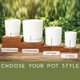 Thank You Gift for Teacher Appreciation, Thank You for Helping Me Grow Personalized Teacher Pot