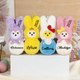 Personalized Easter Bunny Plush,Custom Bunny