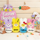 Personalized Easter Bunny Plush,Custom Bunny