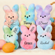 Easter Peep Bunny Plushies,Personalized Bunny Peeps