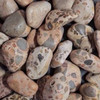 Jasper Leopardskin aka RhyoliteTumbled Stone  Matte finish Lg