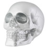Silver Skull 4.5" x 5.5"