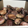 Petrified Wood Palm Stones 100-200g