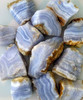 Agate Blue Lace Specimen Assorted Size - Select