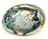 Shell - Abalone Shell 5-6"