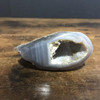 Agate Geode Druze 3+-5" select