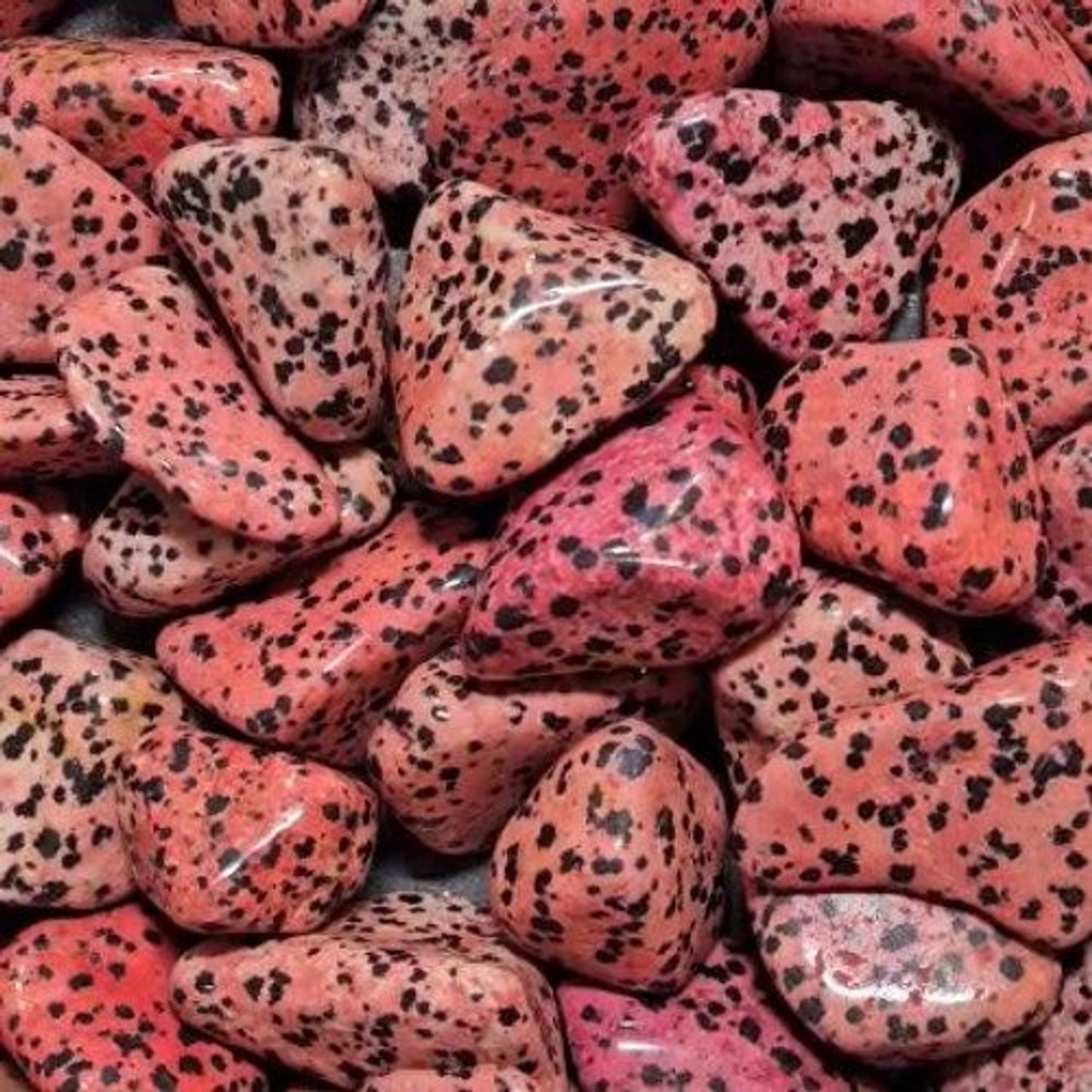 Jasper Dalmatian Dyed Red Tumbled Stone 1"