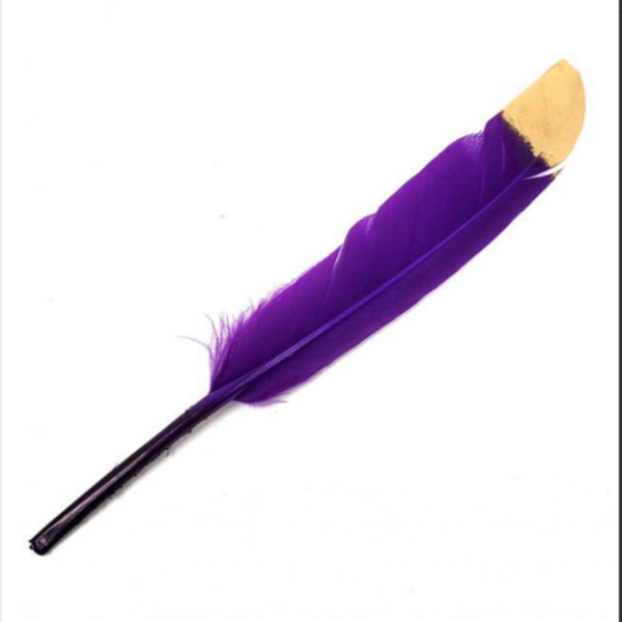 Feathers Dyed with Gold Tip 5-6"