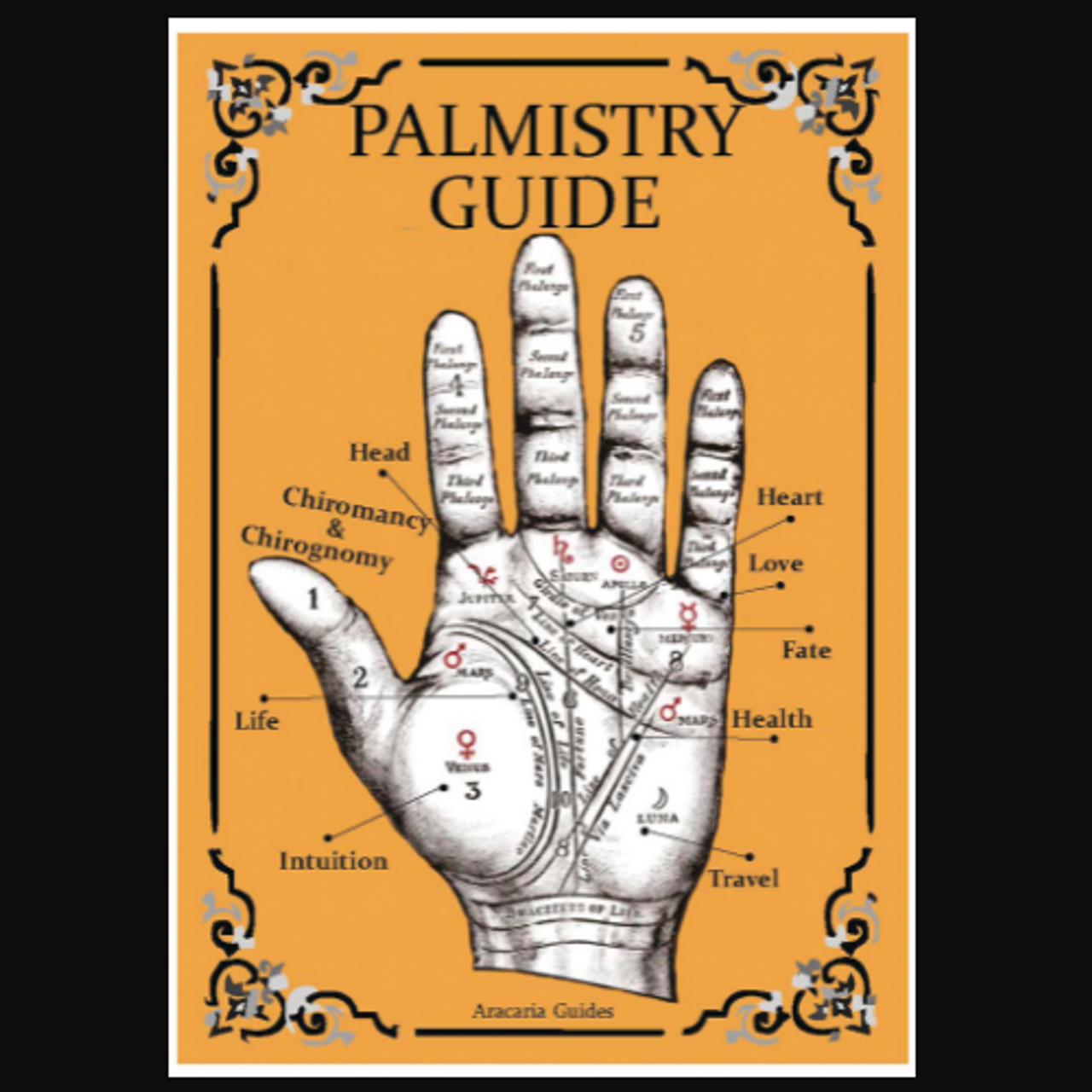 Palmistry Guide Laminated Tri-Fold Chart