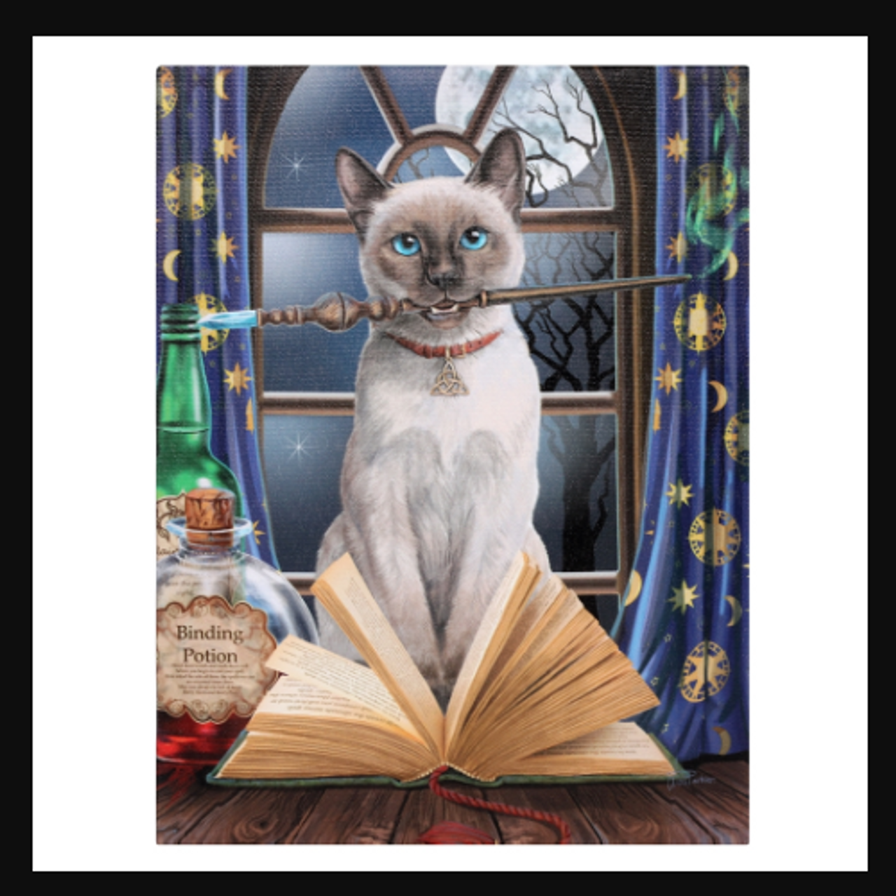 Canvas Art Prints by Starlinks