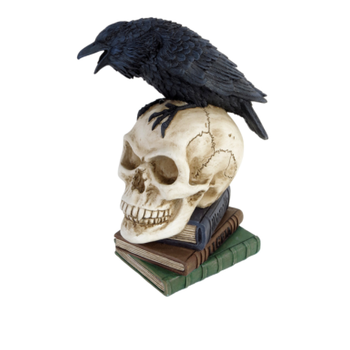 Poes Raven Skull by Alchemy