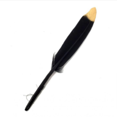 Feathers Dyed with Gold Tip 5-6"