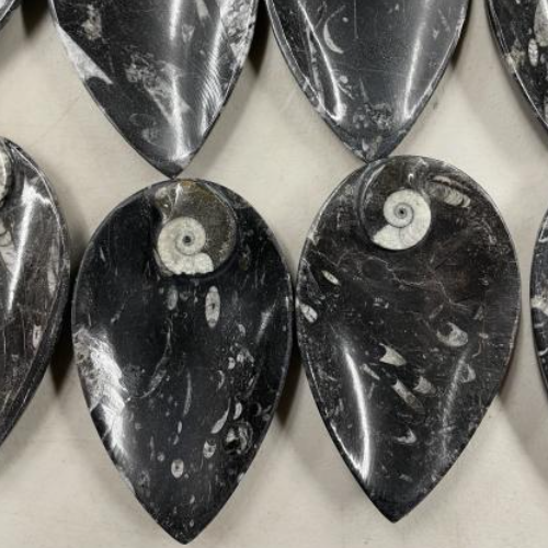 Bowl Teardrop Shape Marbled Fossil 5"