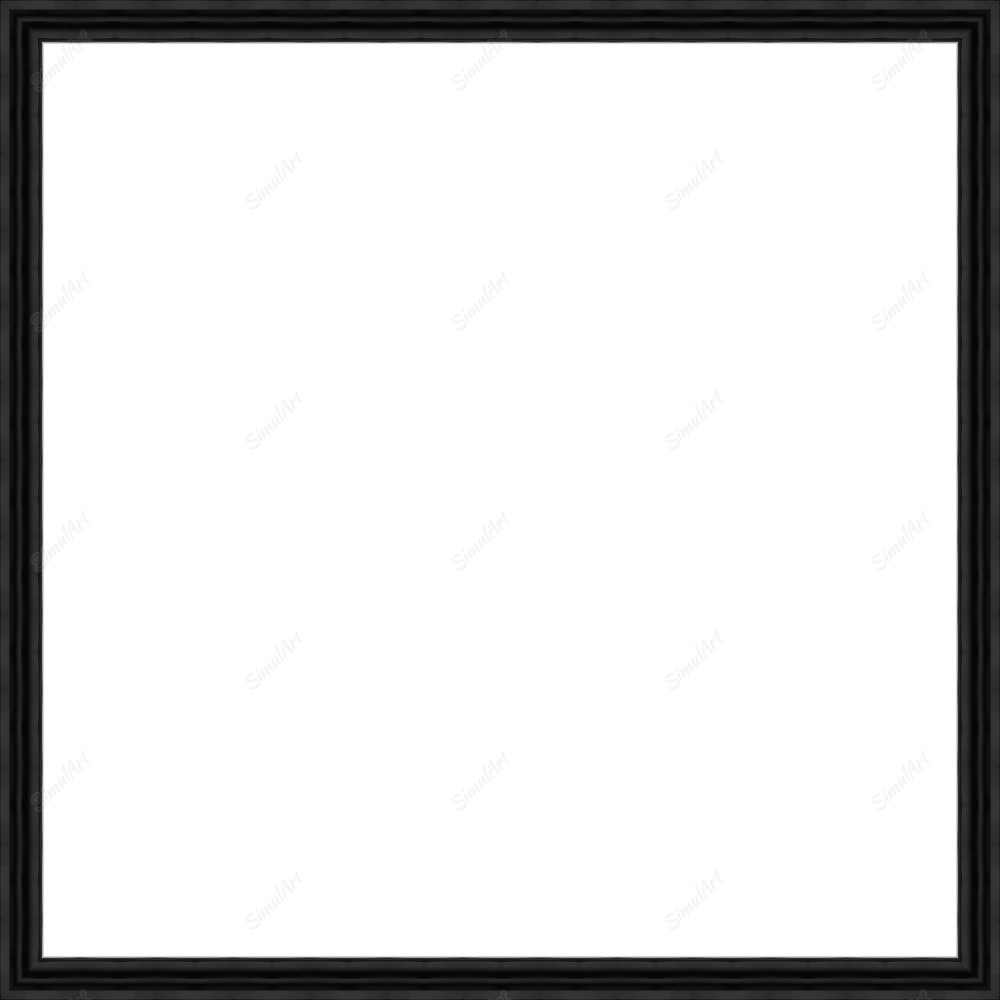 Empty frame for canvas or panel 870002 - Moulding 7900  Small Black Step Float Frame 