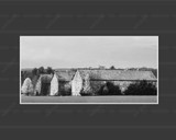 Custom Mat - 1002299