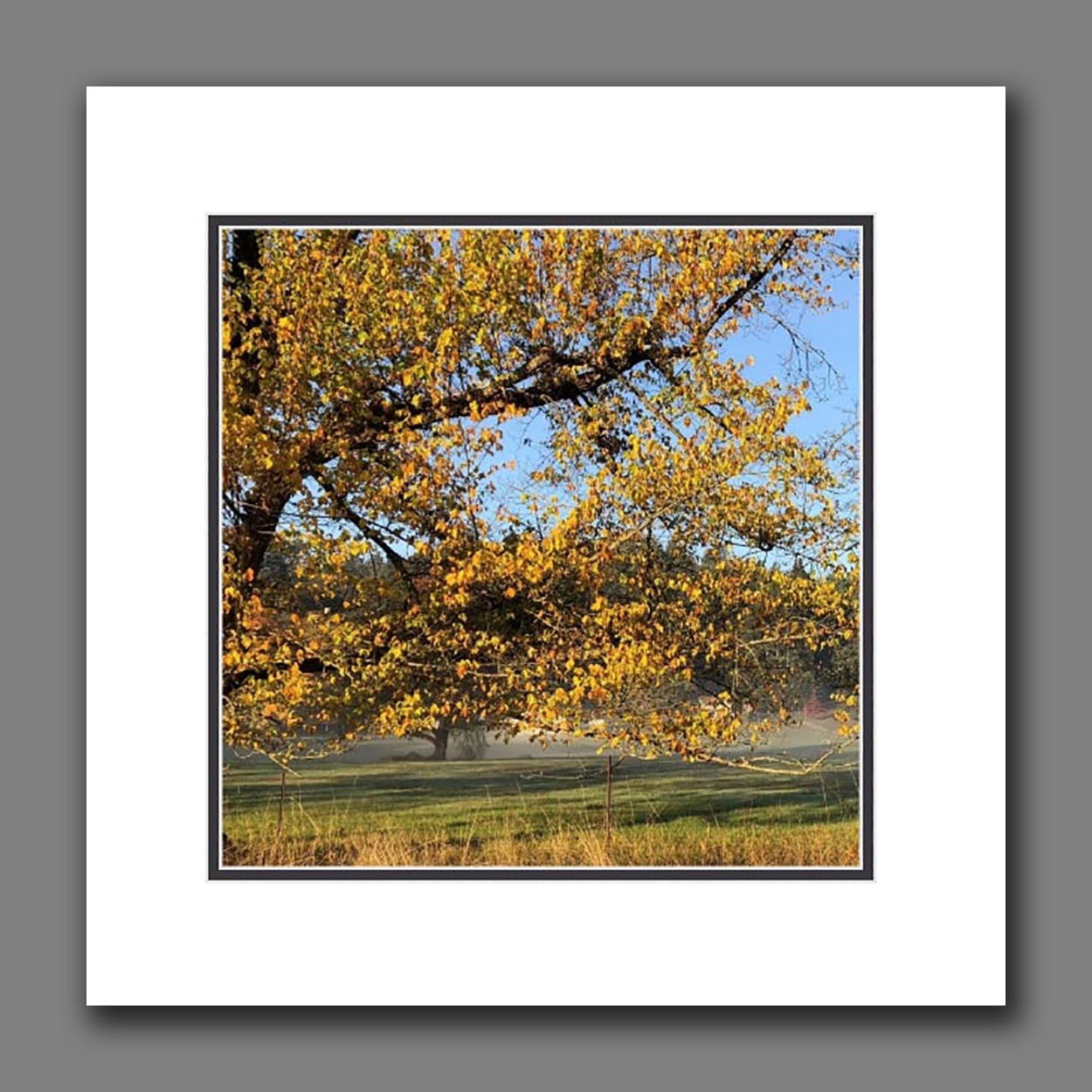 Mats Presentation Mat Packs Square Mat Packages Art Supplies