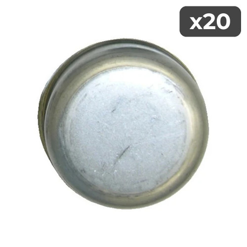 1" Dust Cap (20-Pack)