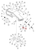 Vulcan 812 body assemblies - carbon steel modular diagram showing part 810030005 at item 42