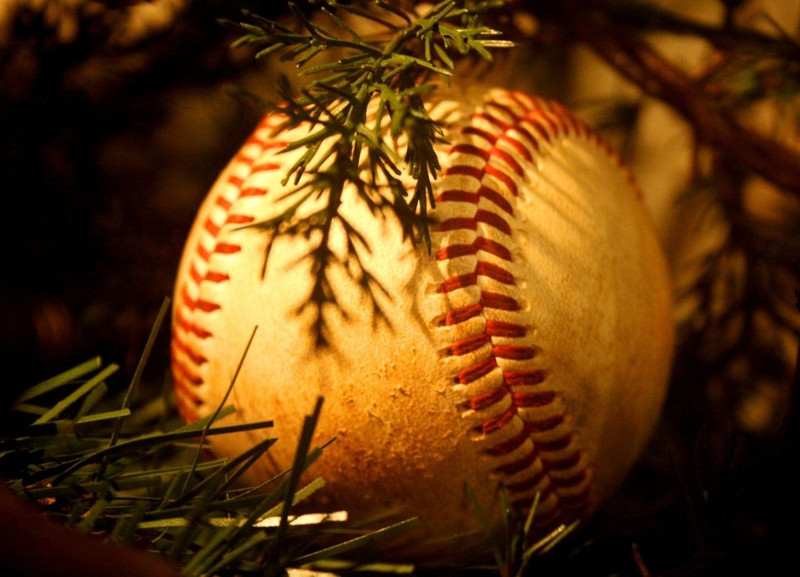The 12 Wood Bats of Christmas