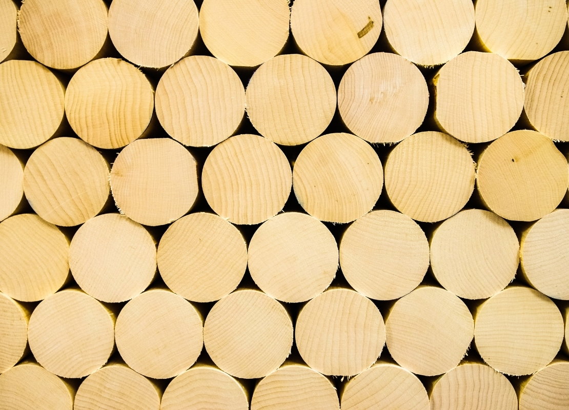 What Is The Difference Between Ash and Maple Bats?