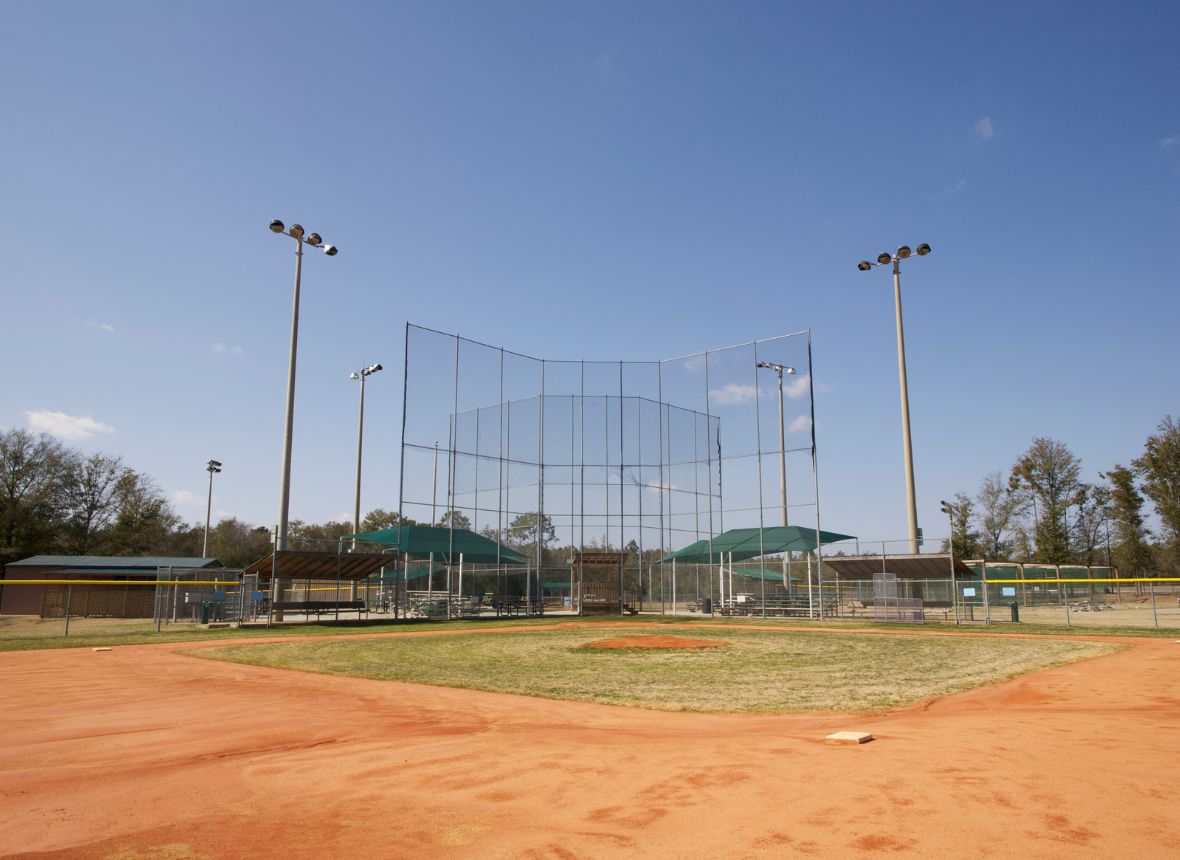 What You Need To Know Before Purchasing A Fungo Bat Phoenix Bats