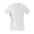 {"colorName":"White","colorCode":"0100","order":"2", "type":"hollow_body", "view":"back", "model_code":"0100"}