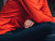 {"colorName":"Black", "colorCode":"9900", "number":"kfi3", "isModel":false,"isFeatured":"3"}