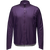 {"colorName":"Purple Indigo","colorCode":"DE00","number":"1","isModel":false}
