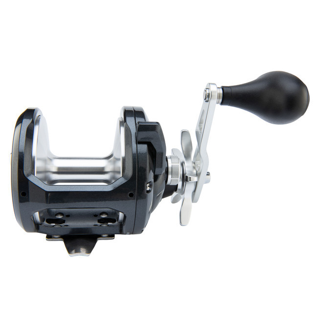 Shimano Torium 20 Round Conventional Reel TOR20HGA - Canal Bait