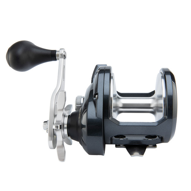 Shimano Torium 20 Round Conventional Reel TOR20HGA - Canal Bait