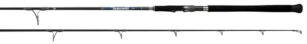 Daiwa BlackWing Tuna Pop Spinning Rod 7'11" 2 Piece