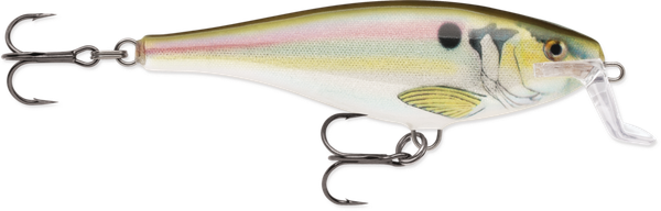 Rapala Super Shad Rap Floating 5.5" 1 5/8oz Custom HD Live River Shad