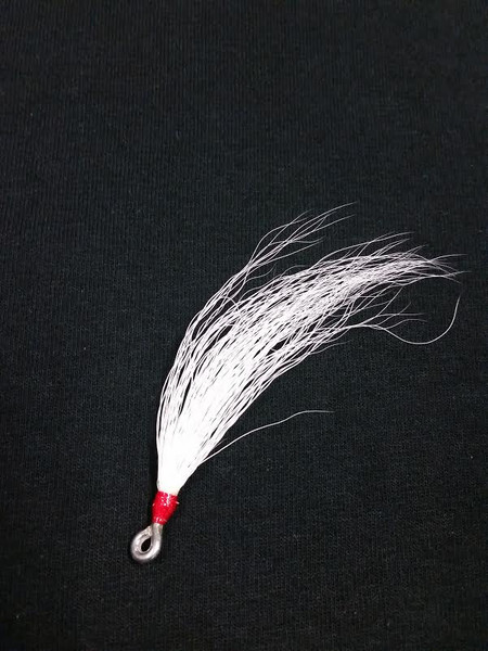 Bucktail Teaser White