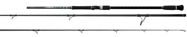 Daiwa Blackline XT Surf Spinning Rod 10' 2 Piece (Max 4oz) BLXT1102MHFS