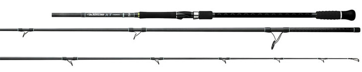 Daiwa Blackline XT Surf Spinning Rod 11' 2 Piece (Max 6oz) BLXT1102HFS