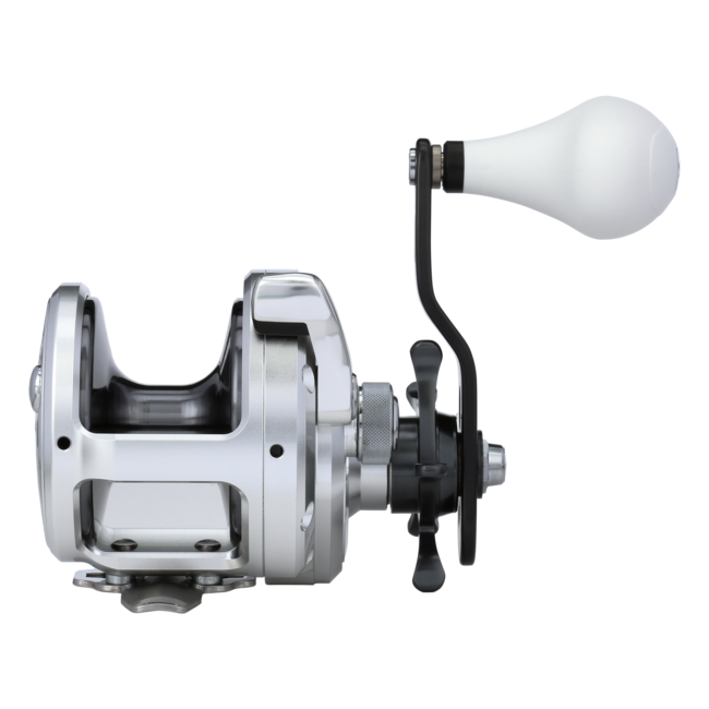 Shimano Trinidad 20 Conventional Round Reel TN20A