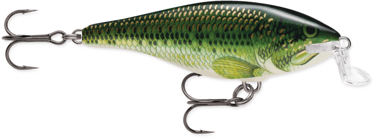 Rapala Shallow Shad Rap Floating 2.75" 1/4oz Baby Bass