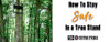 Tree Stand Safety | How to Stay Safe in a Tree Stand