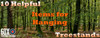 10 Helpful Items for Hanging Treestands