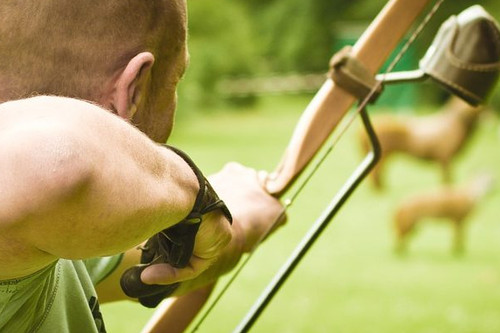 3D Archery: What It Is and Why You Should Be Doing It