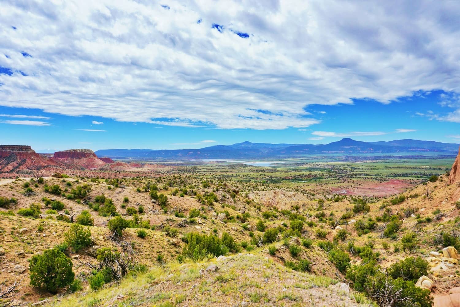 A sprawling view of New Mexico’s natural landscapes