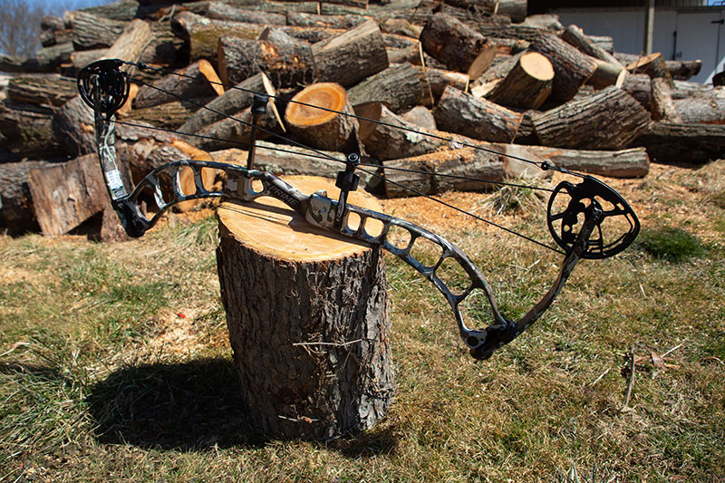 Prime bow and bow strings on a log