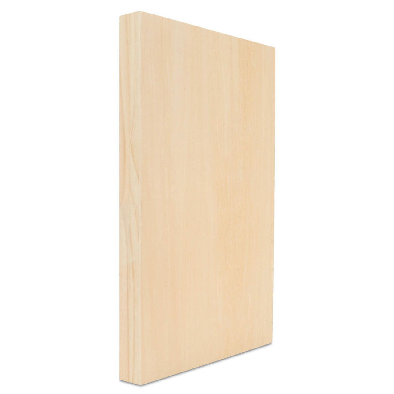 Birch Painting Panel 14 x 18 x 3/4-inch, Pack of 2 Wood Canvas Boards for  Painting, Blank Signs for Crafts, by Woodpeckers 