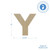 Woodpeckers Crafts Wood Cutout Letter Y, 8" 