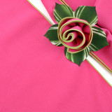 Carole Shiber Designs Add a Hot Pink with HoneyDew Trim 
