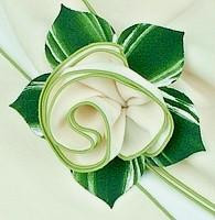 Ivory with HoneyDew Trim Napkin Carole Shiber Designs, intricately folded napkin with ivory color and honeydew green trim, presented with lush green leaves background.